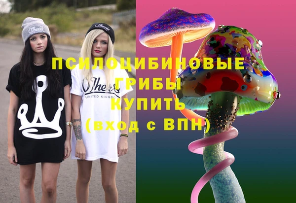 PSILOCYBIN Елизово