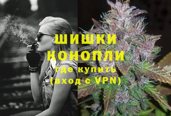 соль ск Заводоуковск