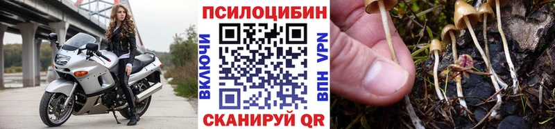 Галлюциногенные грибы GOLDEN TEACHER Калач
